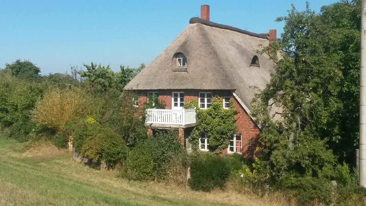 Schillers Stadthaus 希茨阿克 外观 照片
