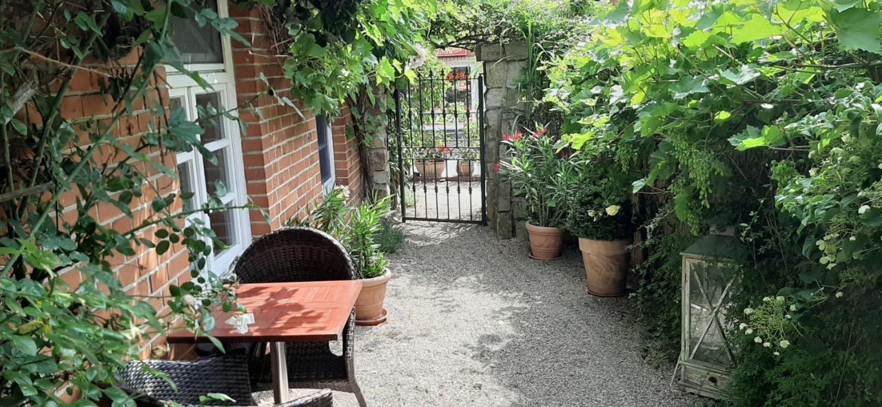 Schillers Stadthaus 希茨阿克 外观 照片